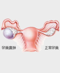 病 理
