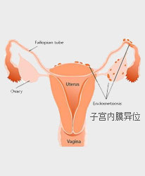 病 理
